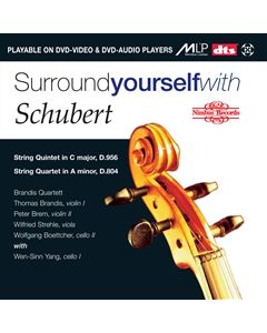Surround yourself with Schubert