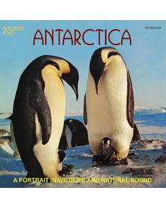 Antarctica, A Portrait in Wildlife and Natural Sound